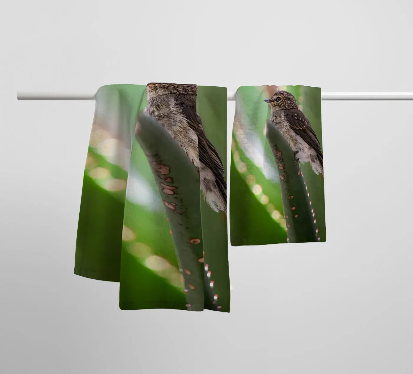 Flycather Handtuch von Tom's Wildlife