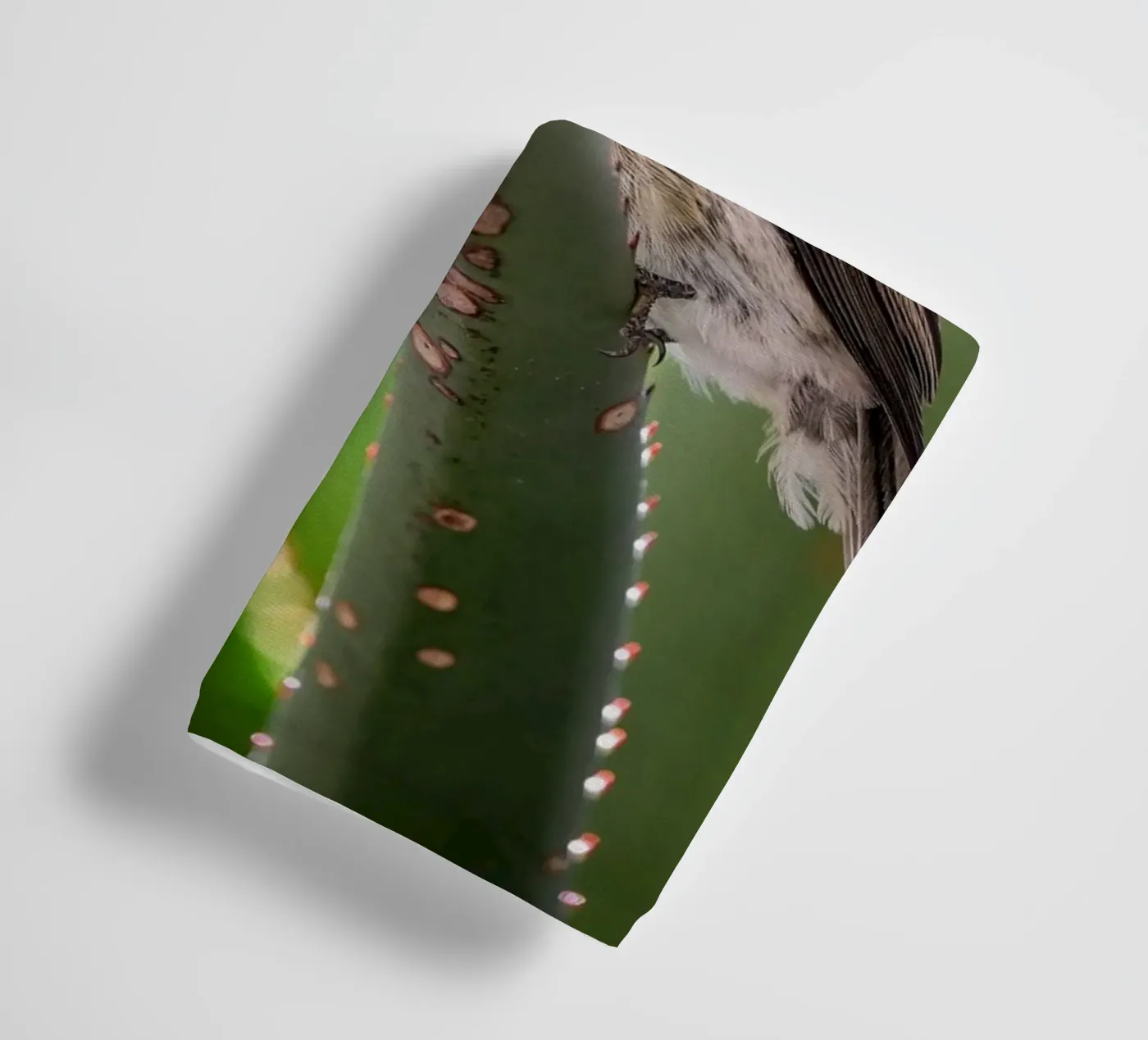 Flycather Handtuch von Tom's Wildlife