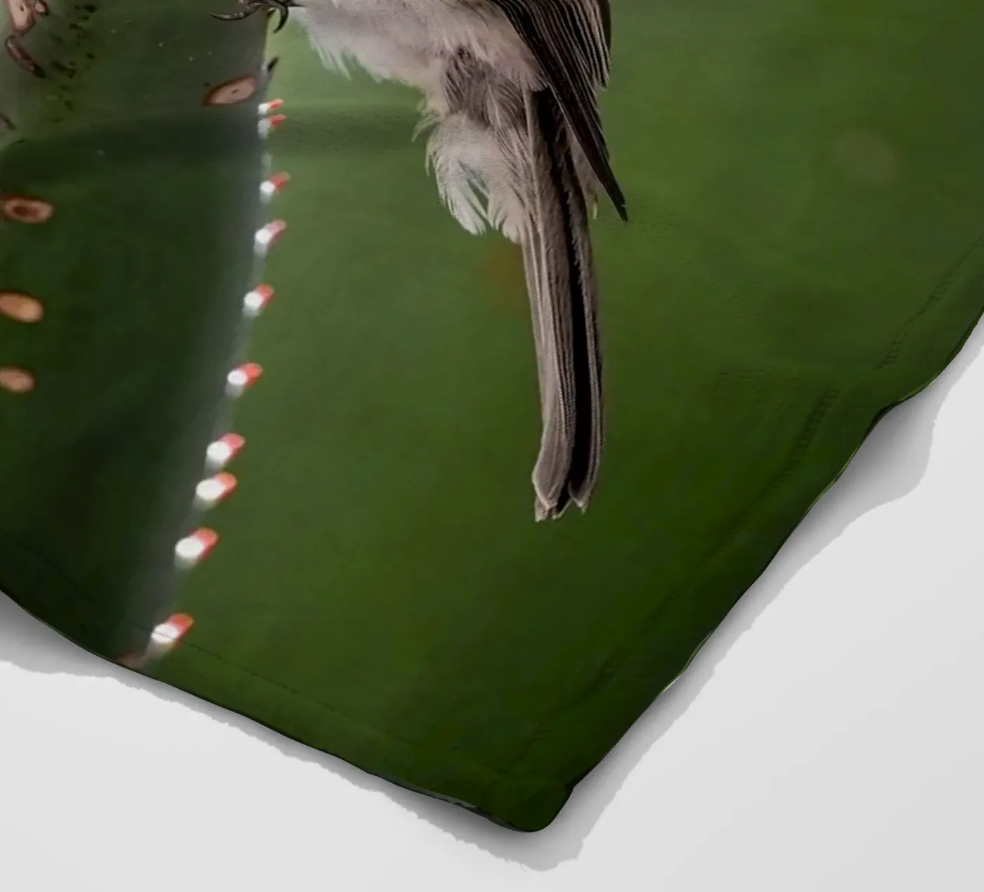 Flycather fleece blanket by Tom's Wildlife