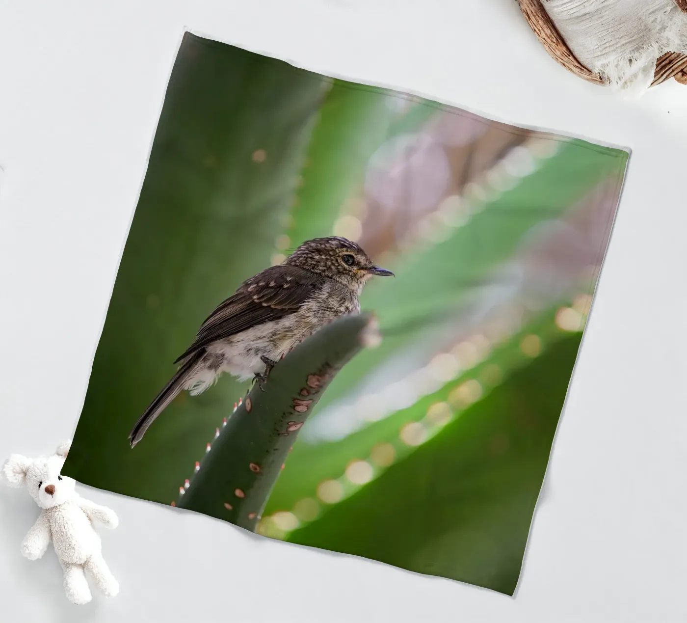 Flycather fleece blanket by Tom's Wildlife