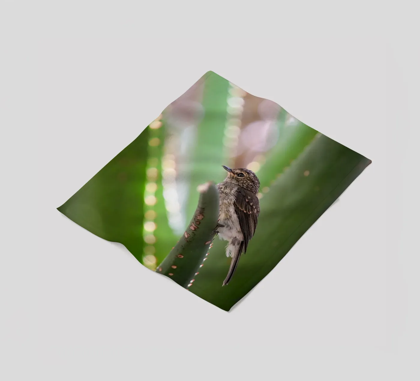 Flycather fleece blanket by Tom's Wildlife