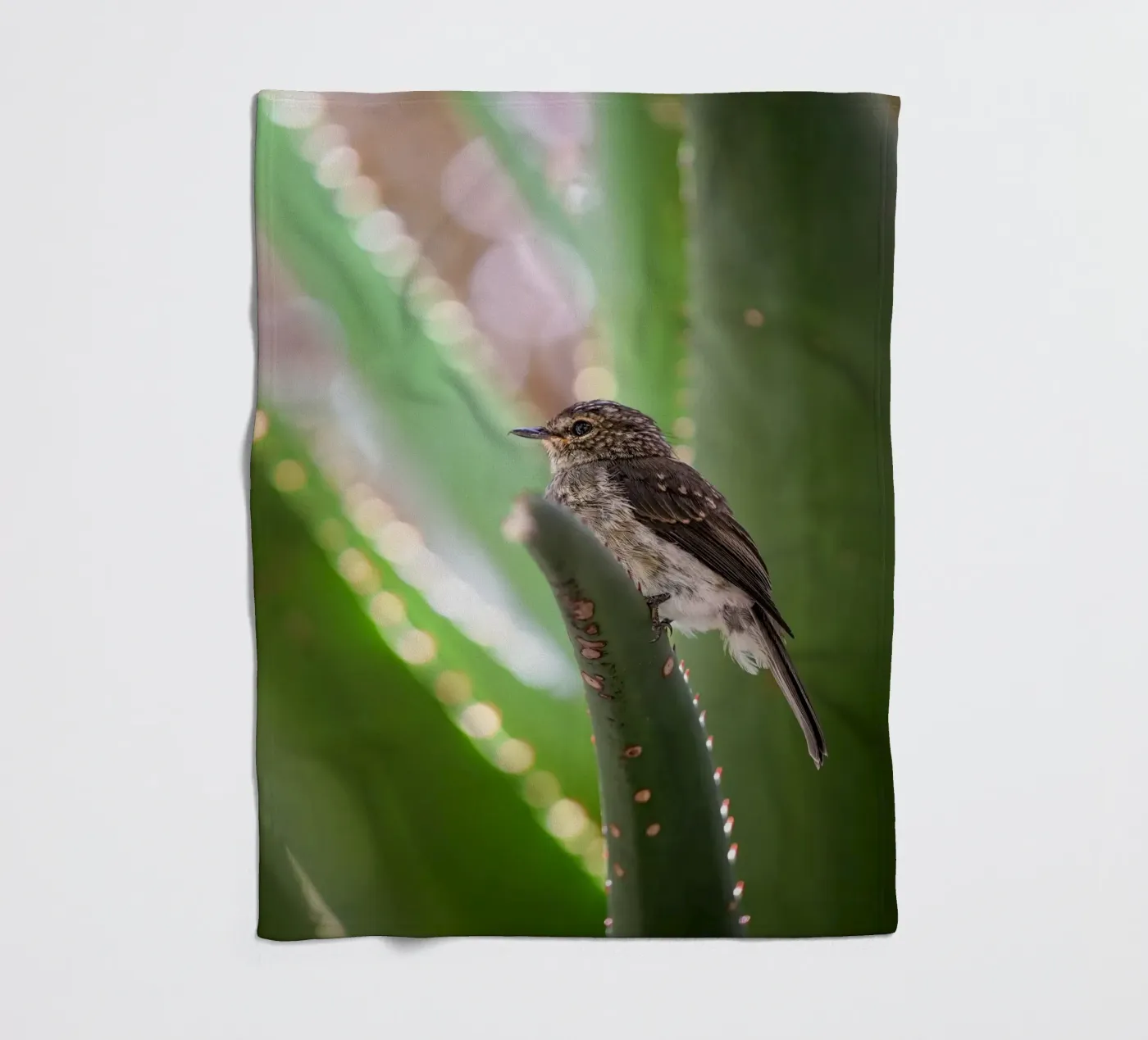 Flycather fleece blanket by Tom's Wildlife