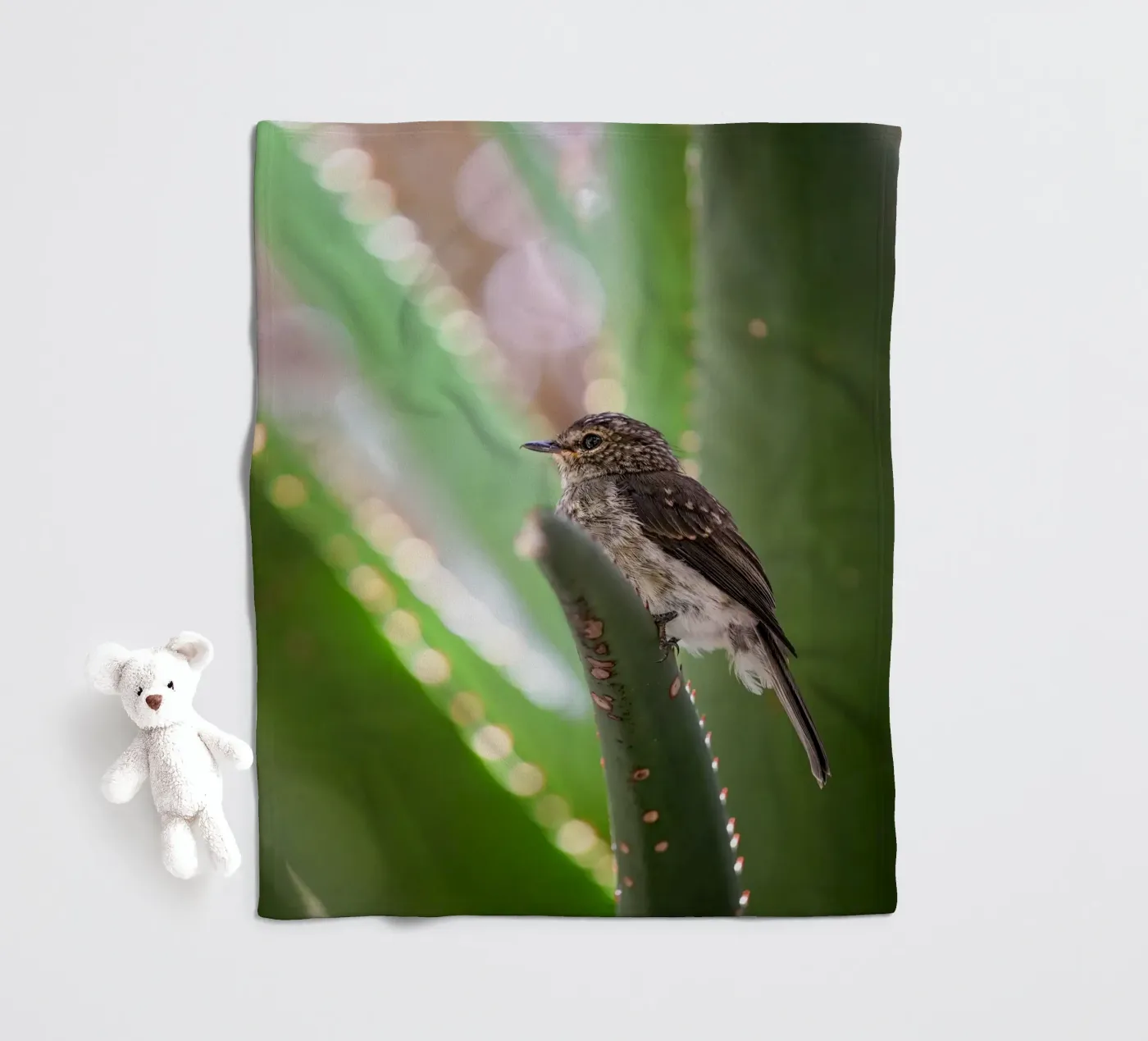 Flycather fleece blanket by Tom's Wildlife
