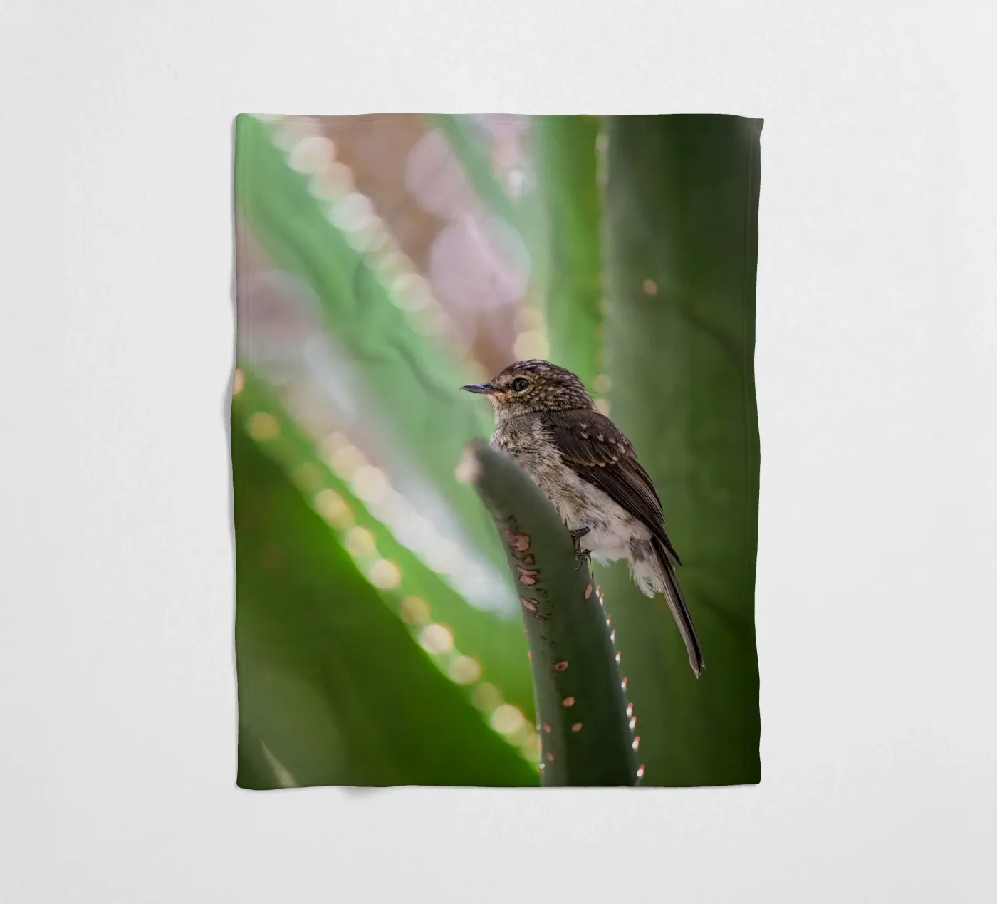 Flycather fleece blanket by Tom's Wildlife