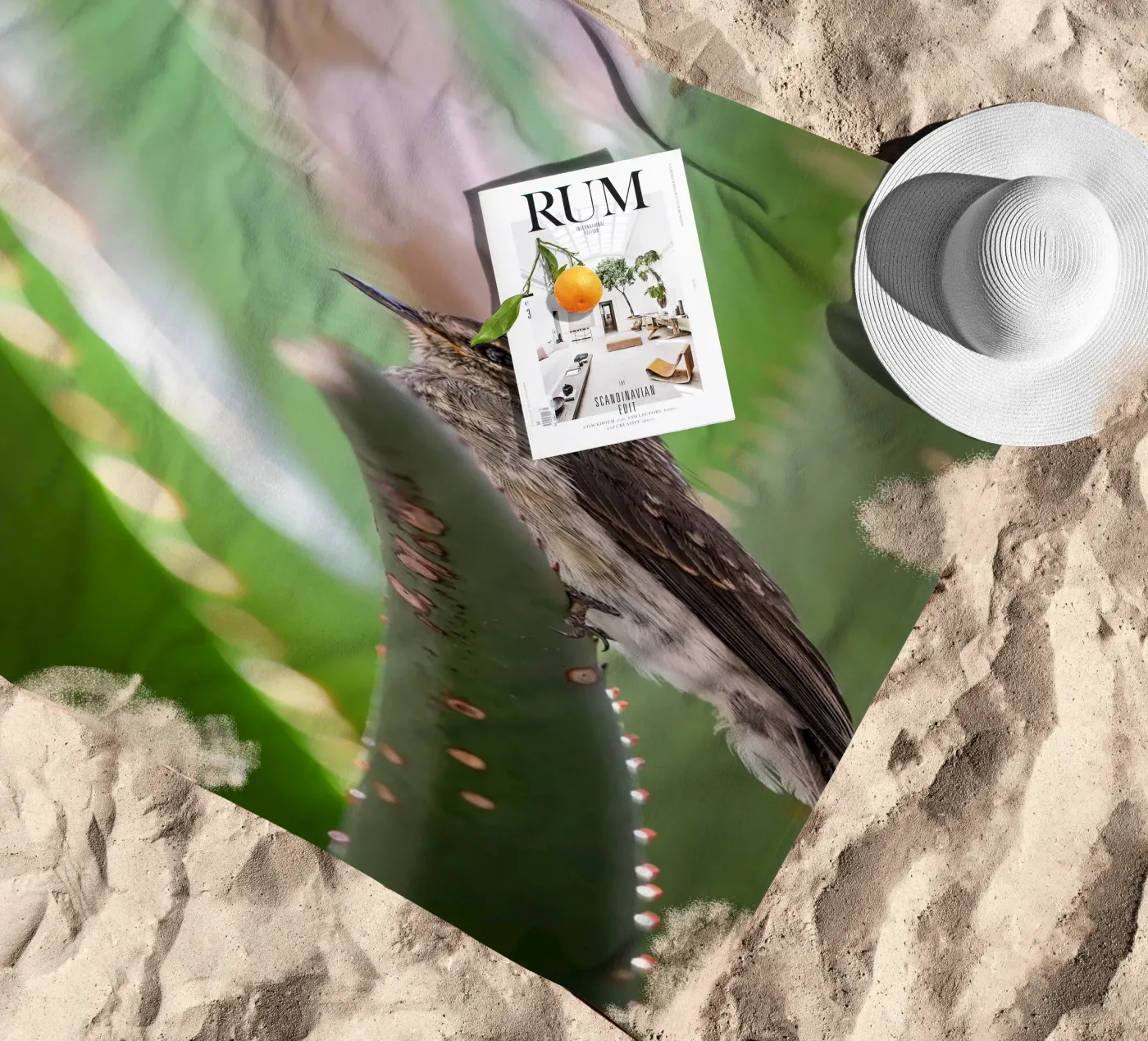 Flycather telo mare da Tom's Wildlife