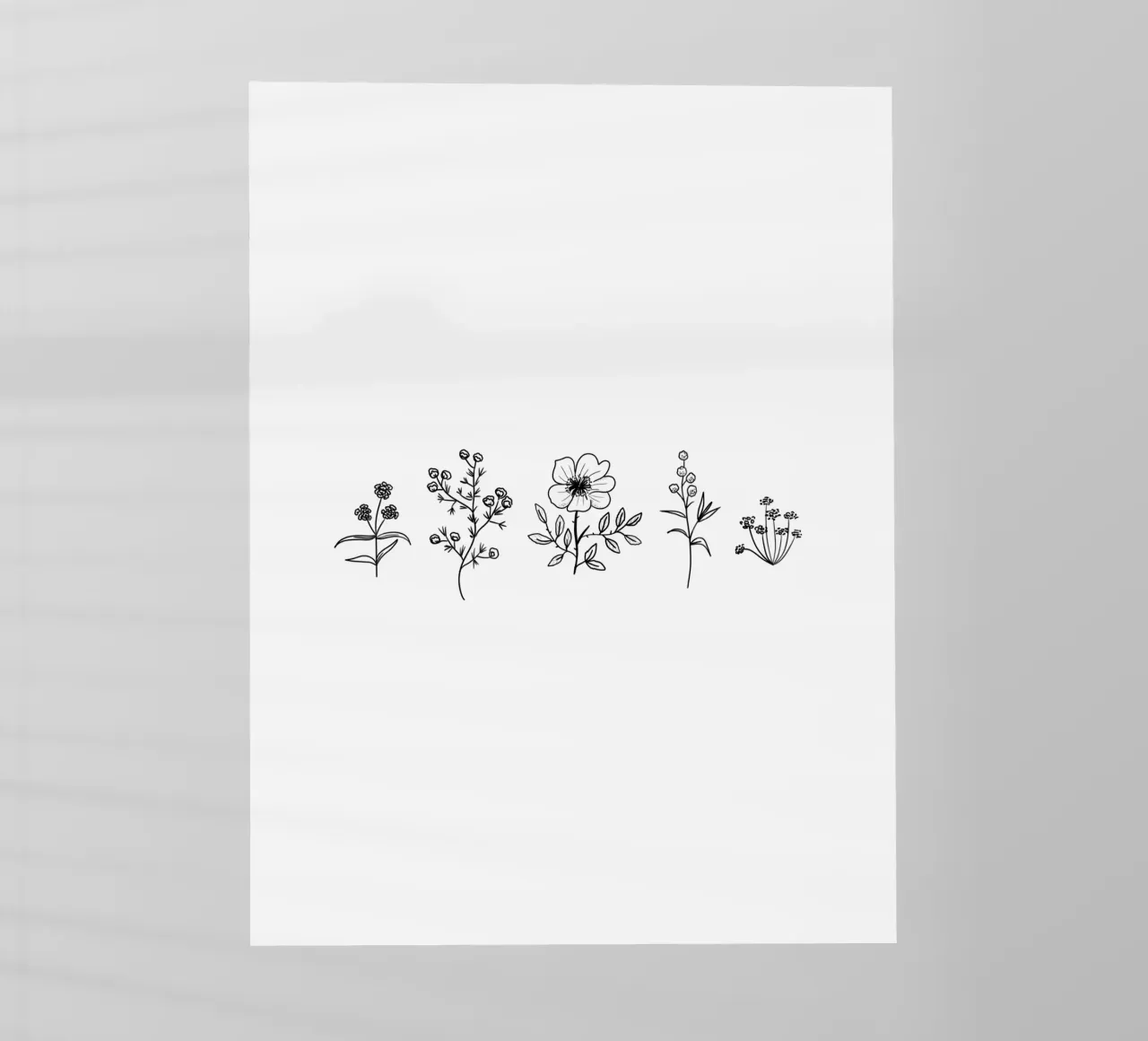 5 Line Art Wildflowers pellicola backlit da anisillustration