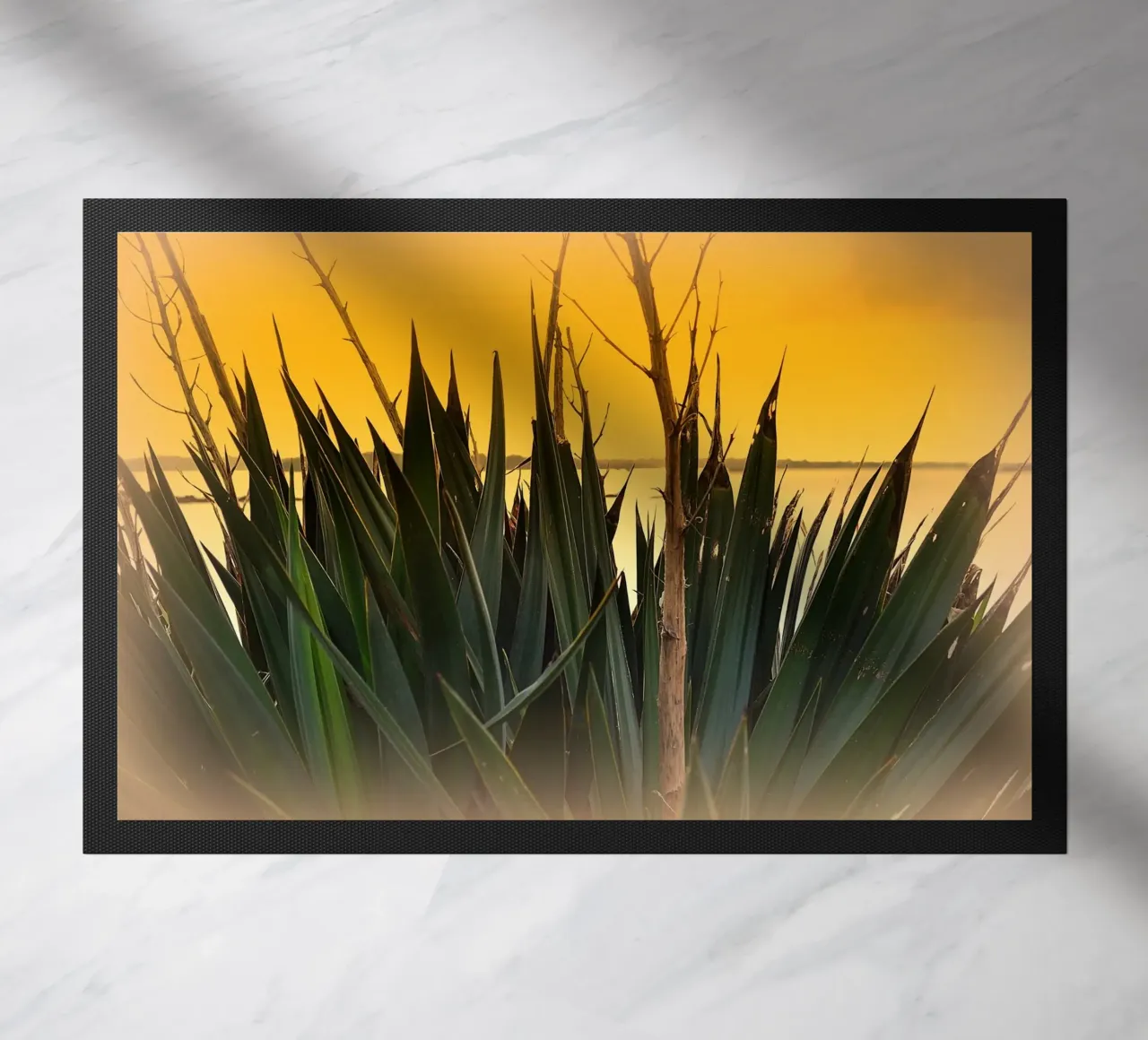 FAA123 zerbino da Thierry vobmann photography