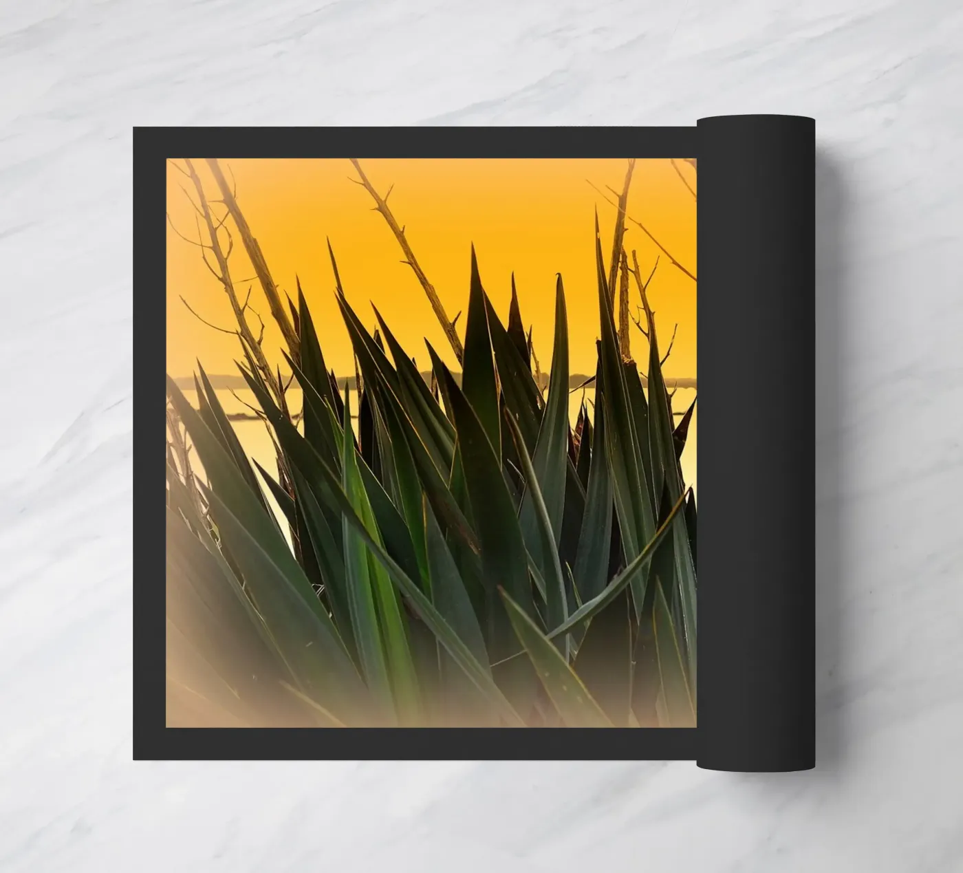 FAA123 zerbino da Thierry vobmann photography