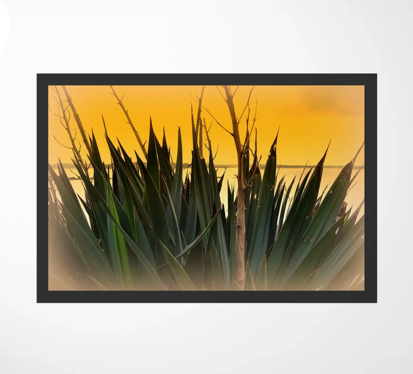 FAA123 zerbino da Thierry vobmann photography