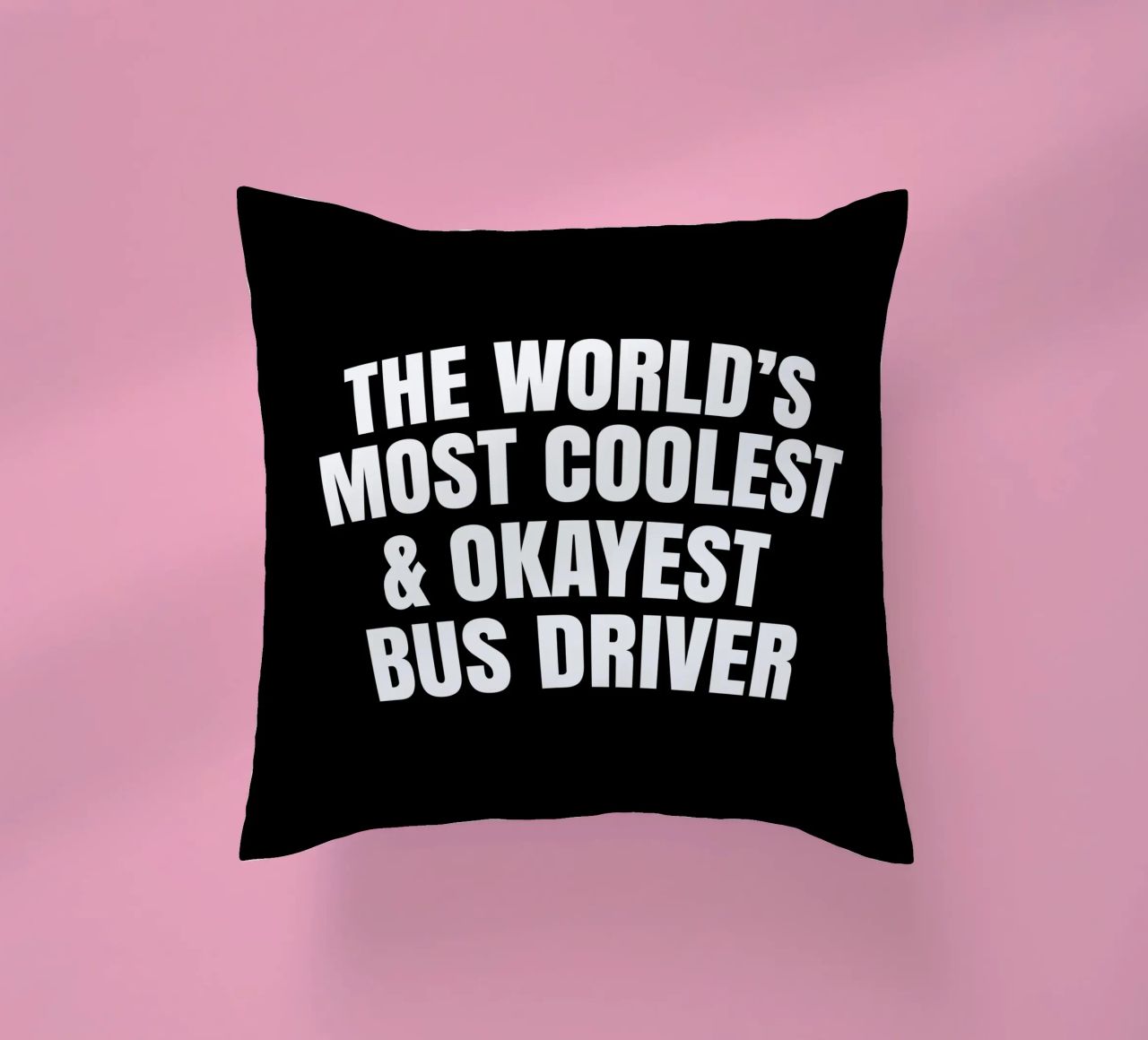 World's most coolest and okayest bus driver cuscino da happieeagle