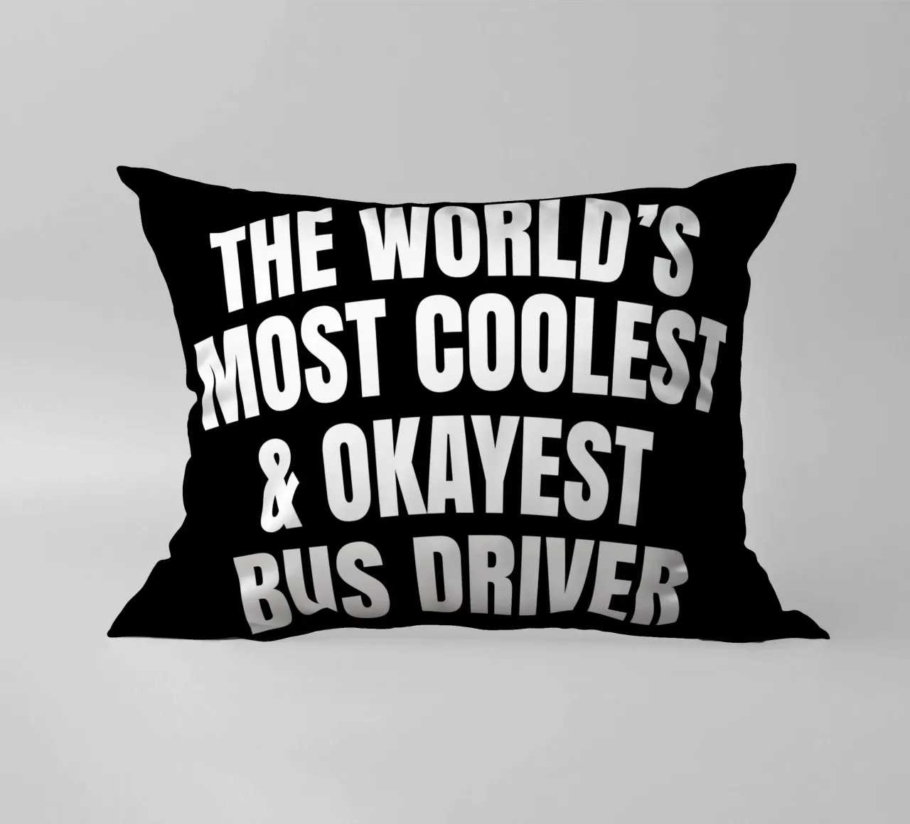 World's most coolest and okayest bus driver kussen van happieeagle
