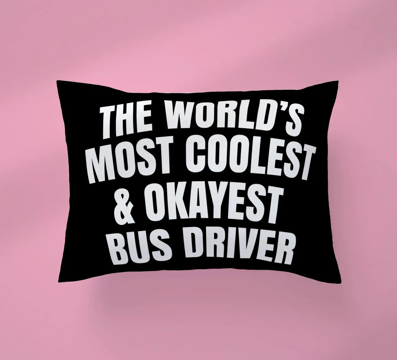 World's most coolest and okayest bus driver kussen van happieeagle