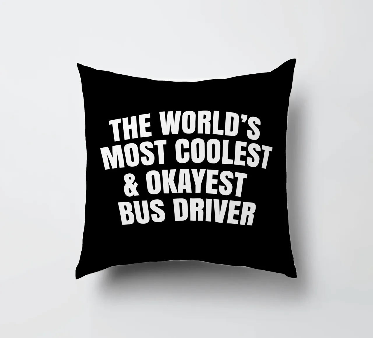 World's most coolest and okayest bus driver kussen van happieeagle