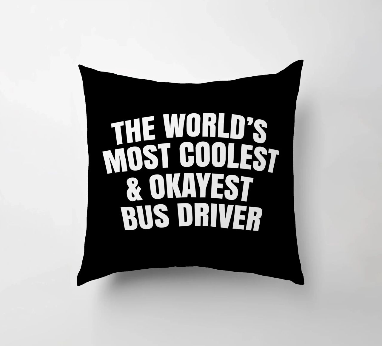World's most coolest and okayest bus driver cuscino da happieeagle