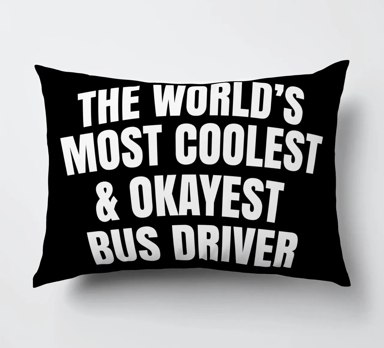 World's most coolest and okayest bus driver kussen van happieeagle