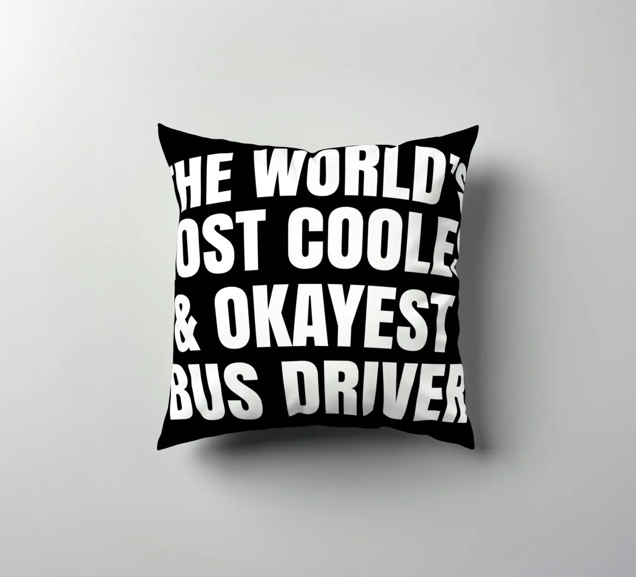 World's most coolest and okayest bus driver kussen van happieeagle