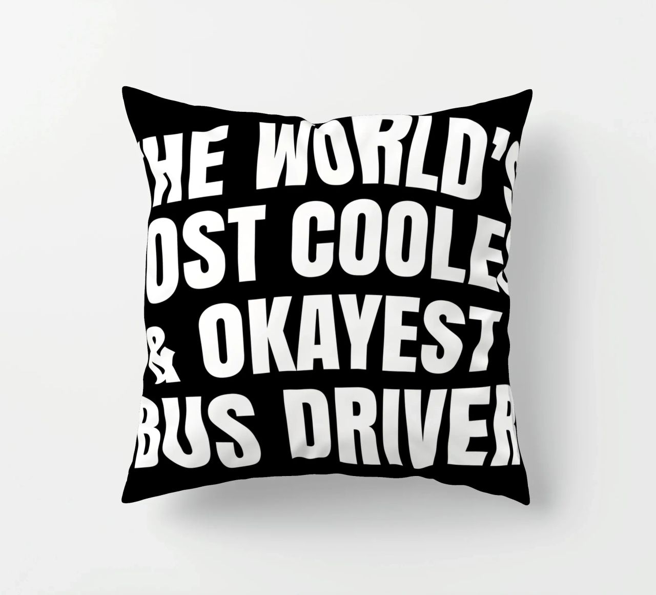 World's most coolest and okayest bus driver cuscino da happieeagle