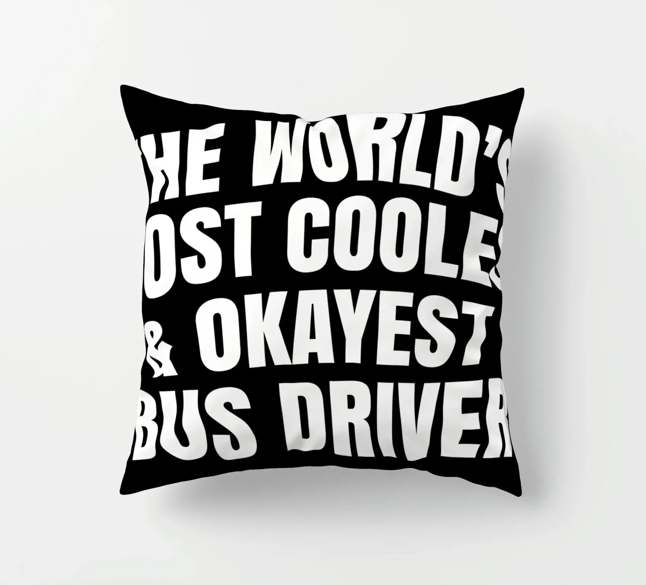 World's most coolest and okayest bus driver kussen van happieeagle