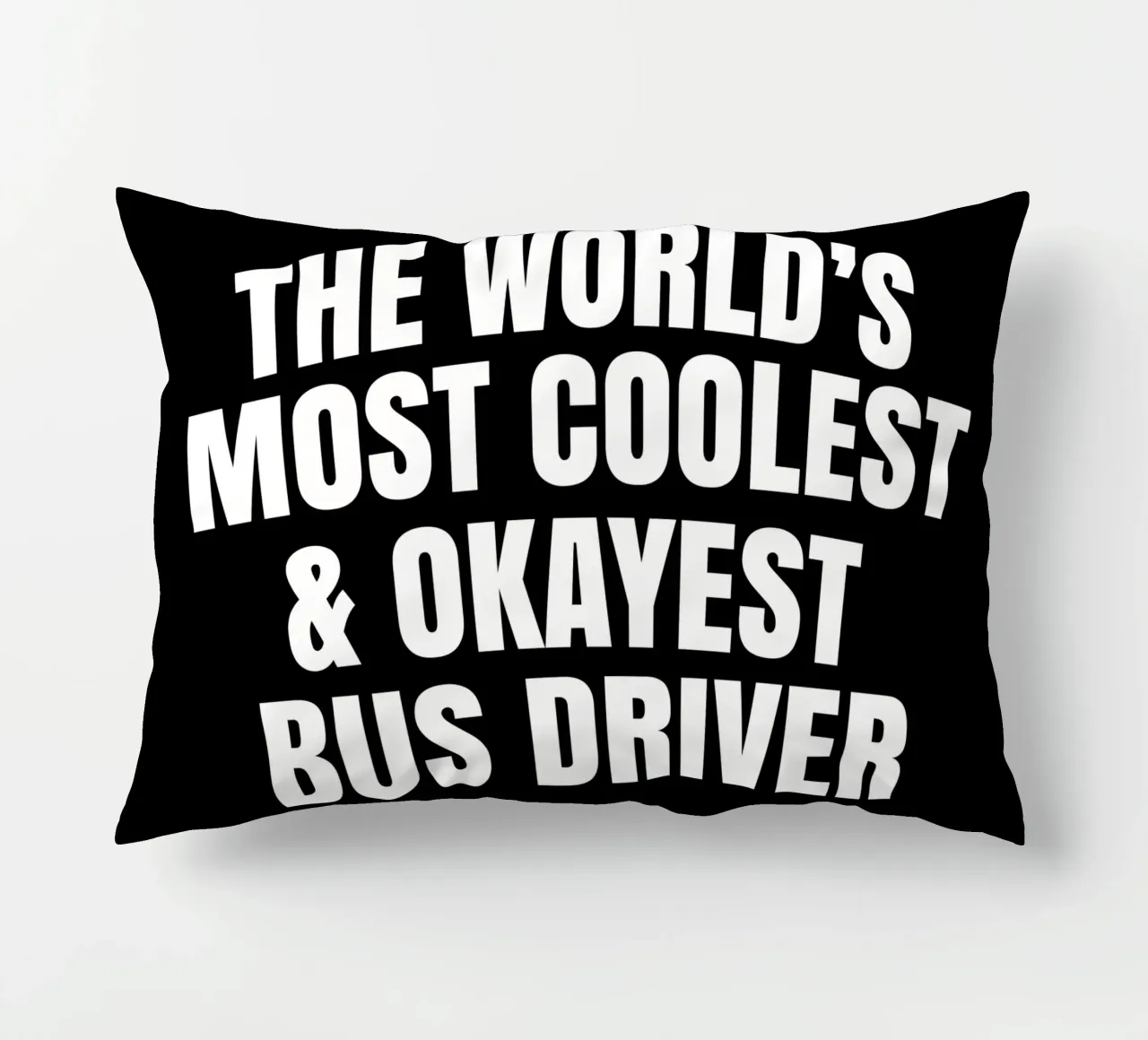 World's most coolest and okayest bus driver kussen van happieeagle