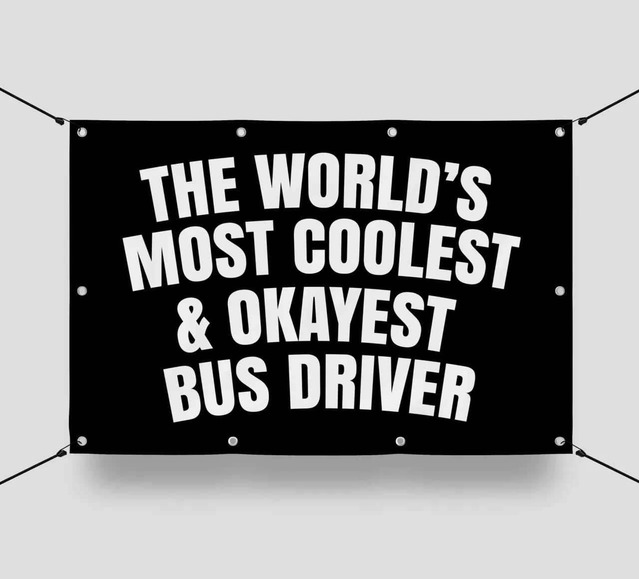 World's most coolest and okayest bus driver telo in pvc da happieeagle