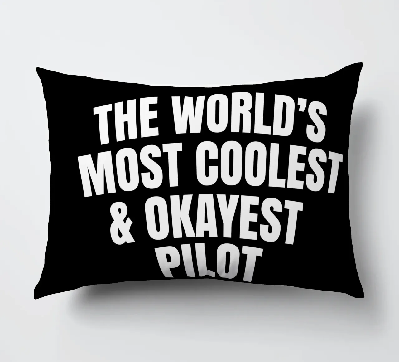World's most coolest and okayest pilot cuscino da happieeagle