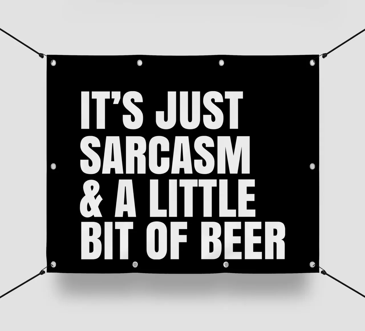 It's just sarcasm and a little bit of beer PVC Plane von happieeagle