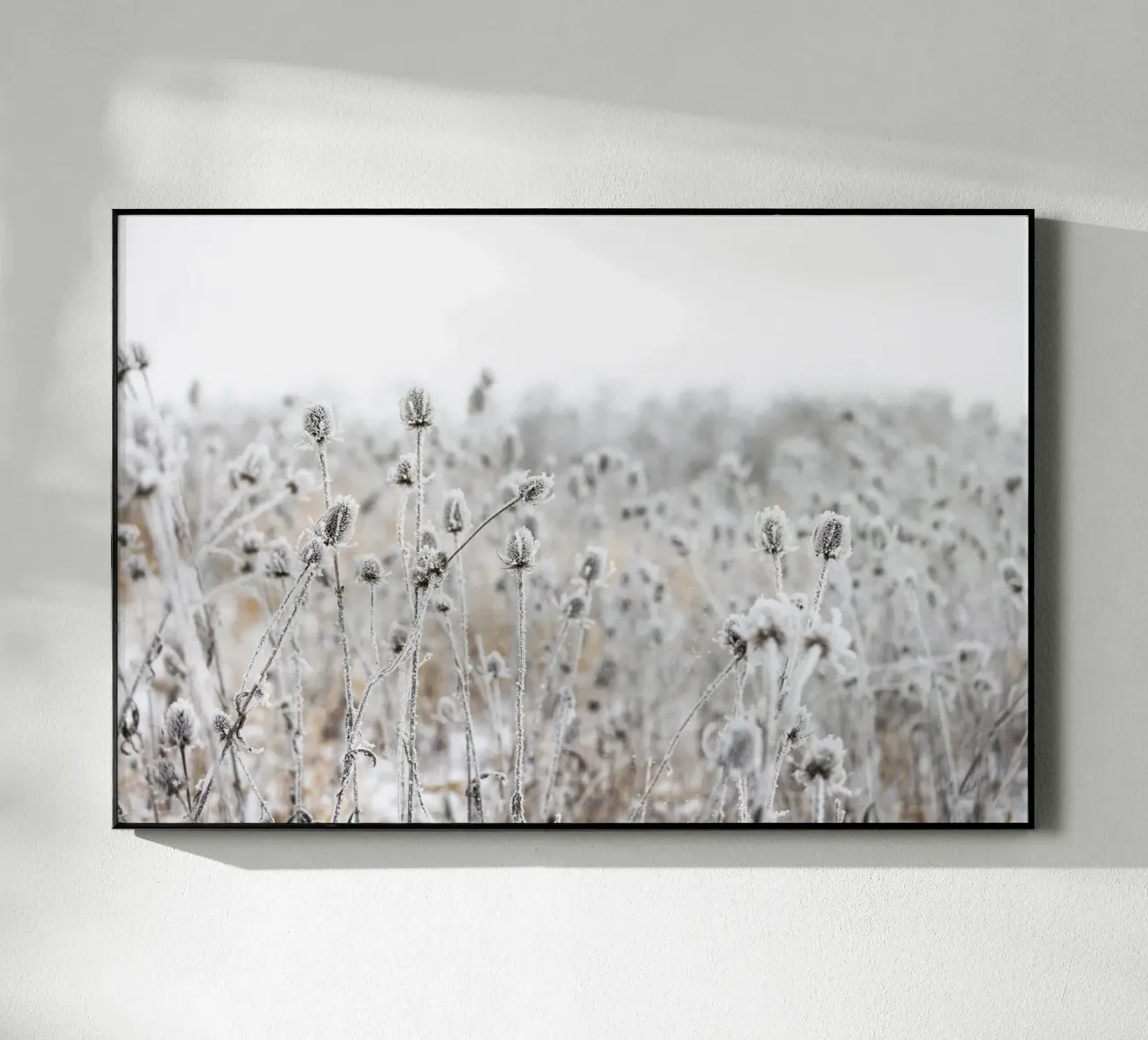 Winter Field 5 plexiglass da Mareike Böhmer Photography