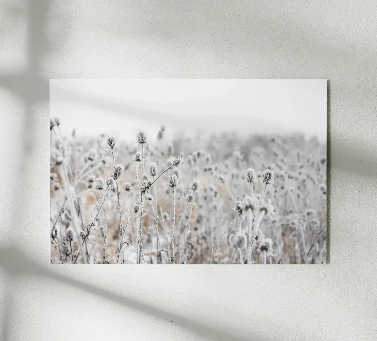 Winter Field 5 plexiglass da Mareike Böhmer Photography