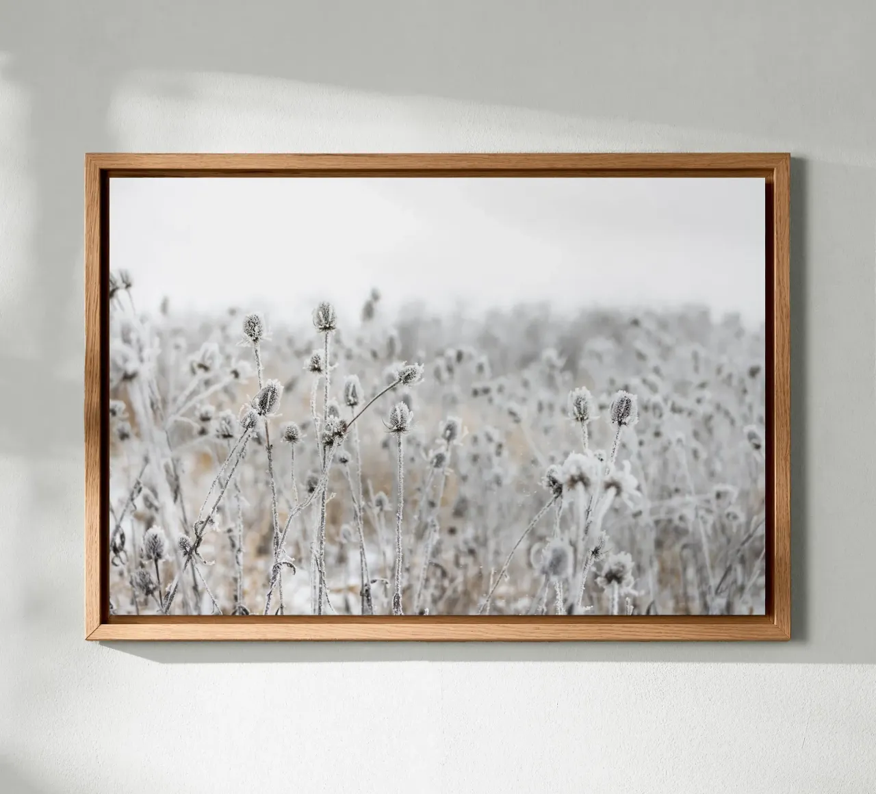 Winter Field 5 alluminio dibond da Mareike Böhmer Photography