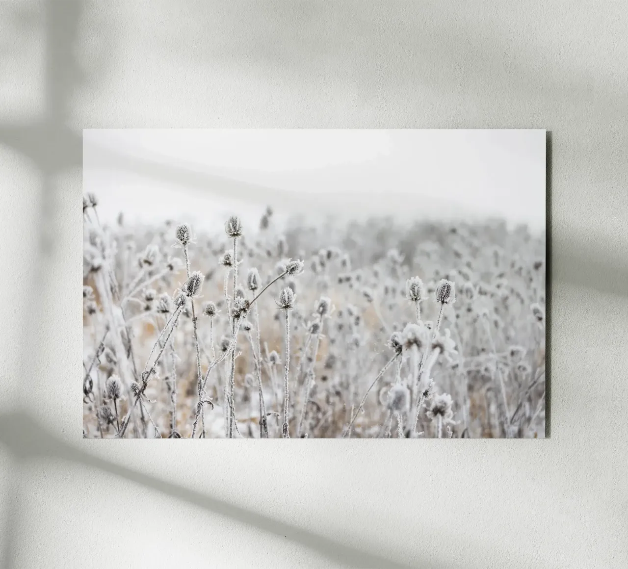 Winter Field 5 alluminio dibond da Mareike Böhmer Photography