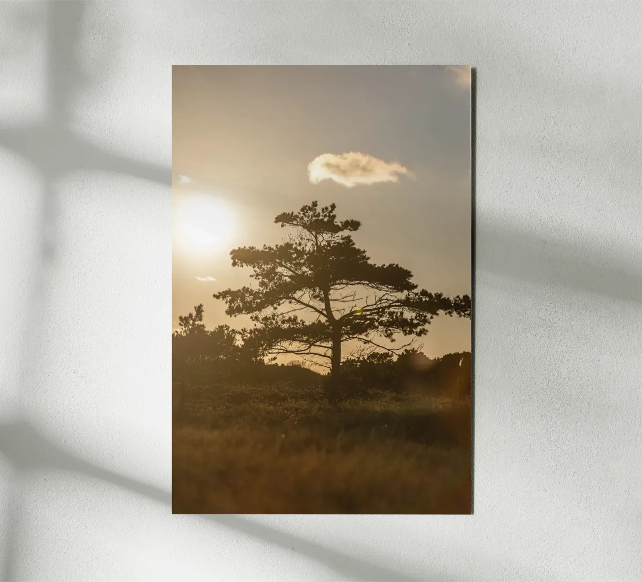 Tree in the Dunes 1 alluminio dibond da Mareike Böhmer Photography