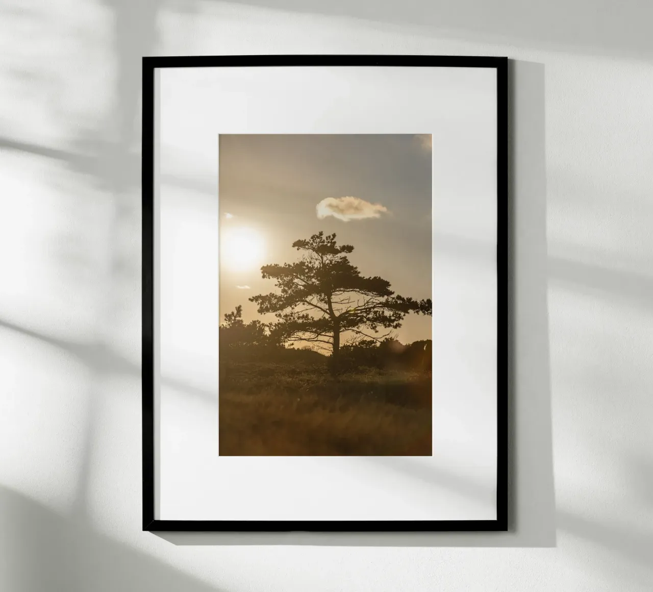 Tree in the Dunes 1 carta hahnemühle da Mareike Böhmer Photography