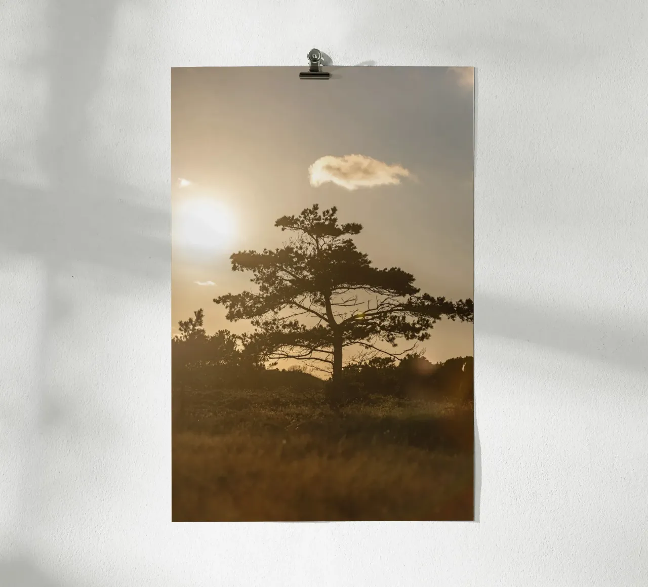 Tree in the Dunes 1 carta hahnemühle da Mareike Böhmer Photography