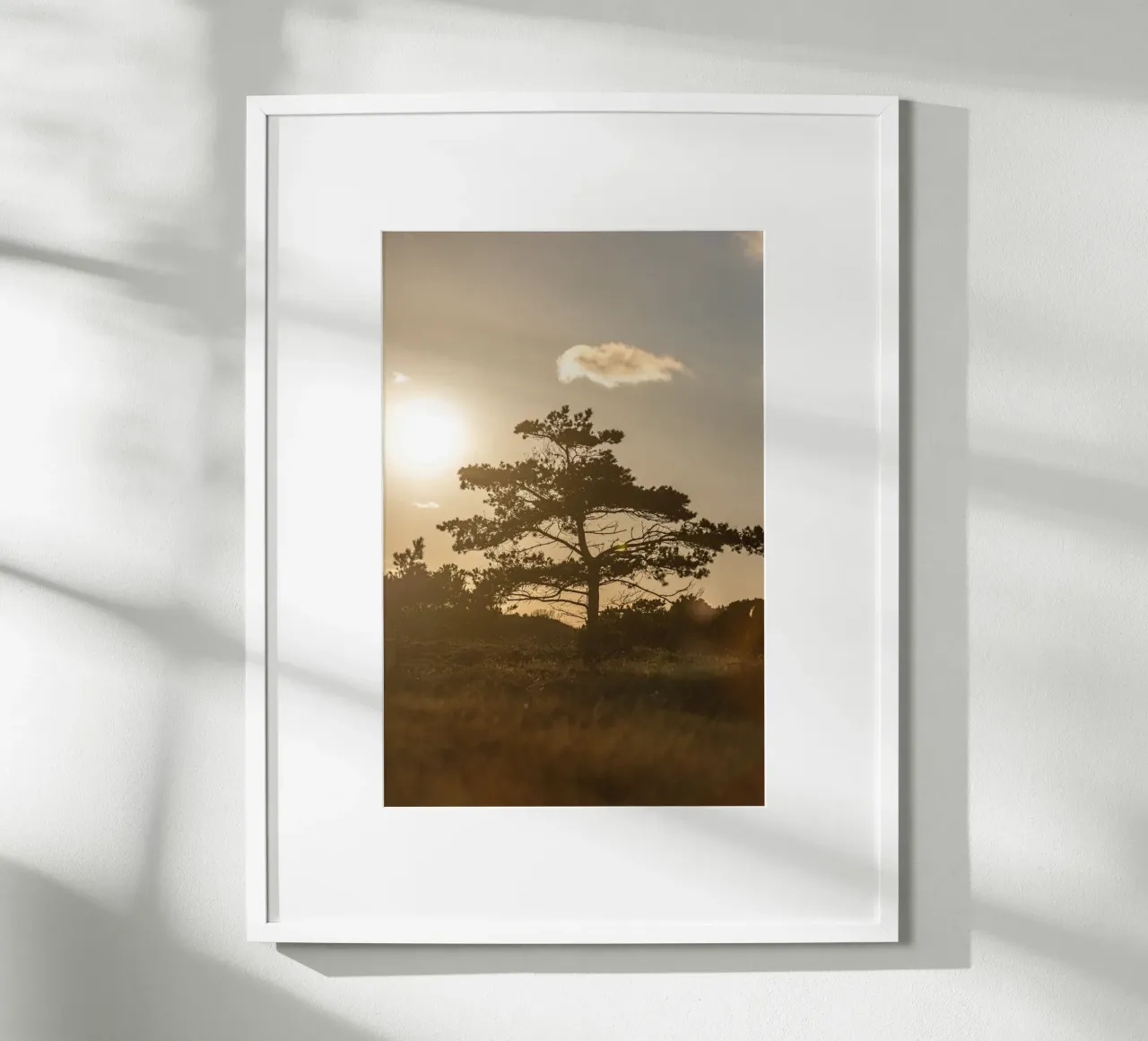 Tree in the Dunes 1 carta hahnemühle da Mareike Böhmer Photography