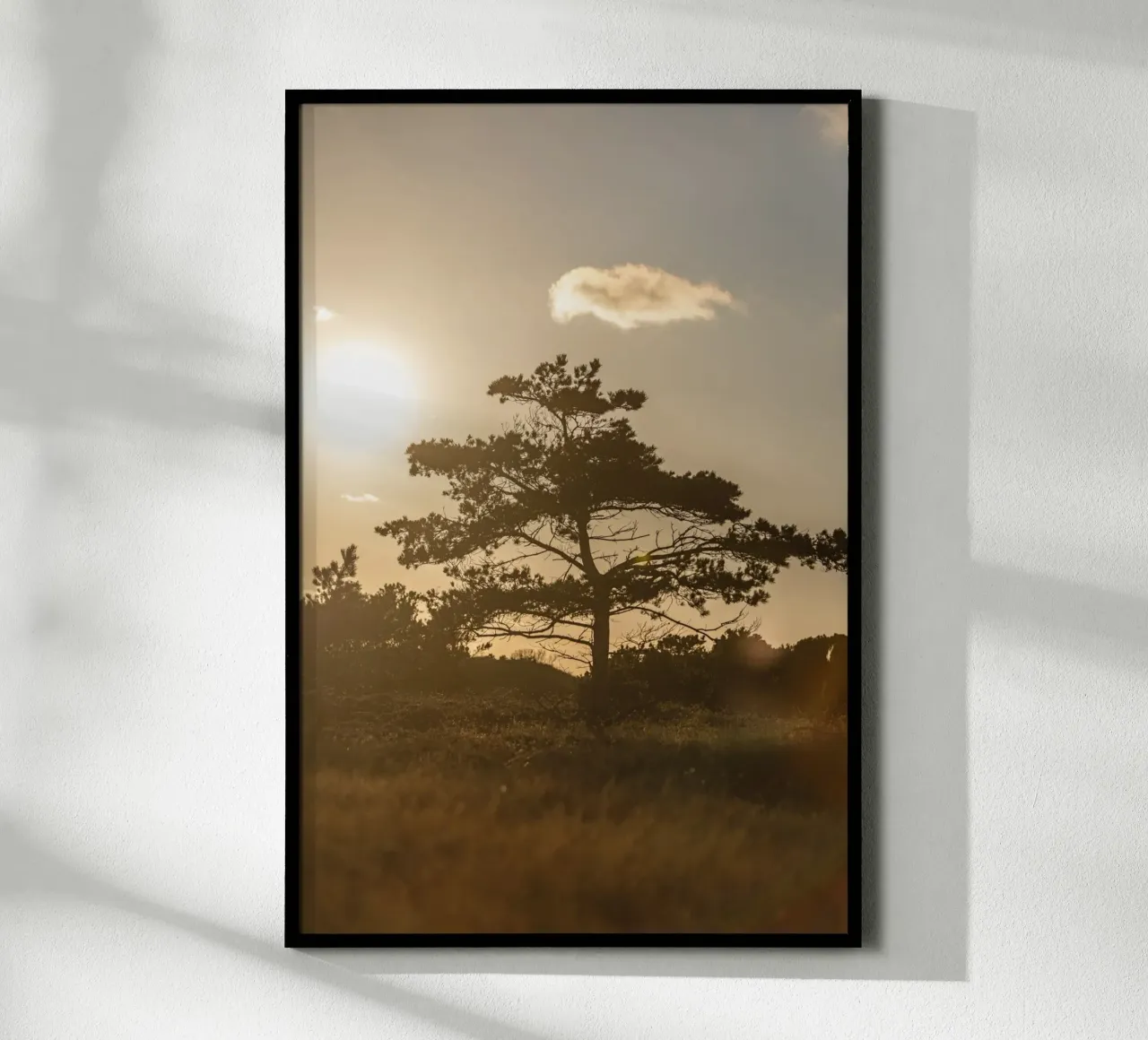 Tree in the Dunes 1 carta hahnemühle da Mareike Böhmer Photography
