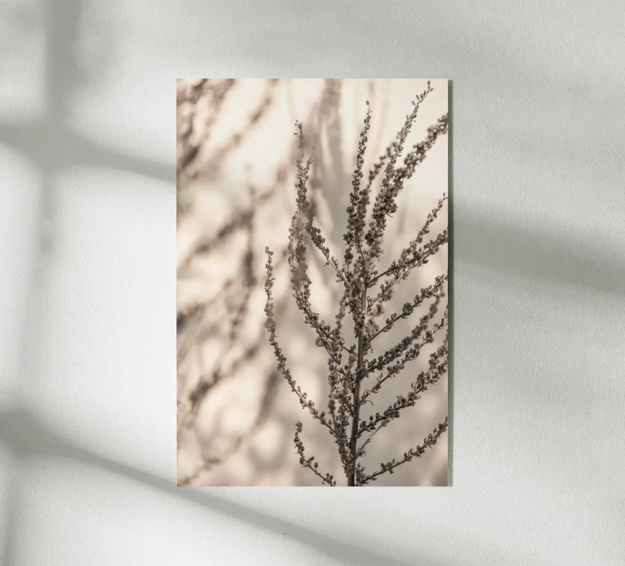 Warm Winter Light 1 plexiglass da Mareike Böhmer Photography