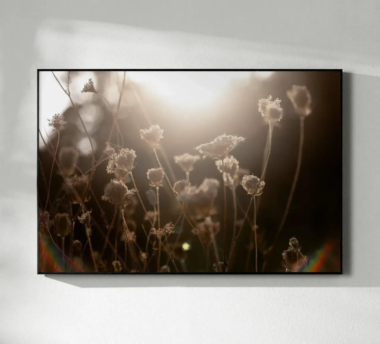 Warm Winter Light 3 plexiglass da Mareike Böhmer Photography