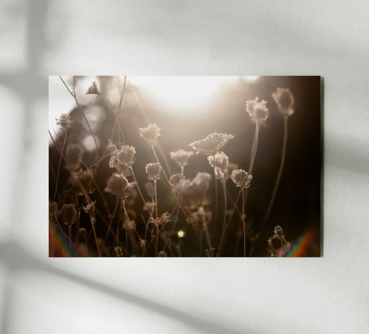 Warm Winter Light 3 pannello forex da Mareike Böhmer Photography