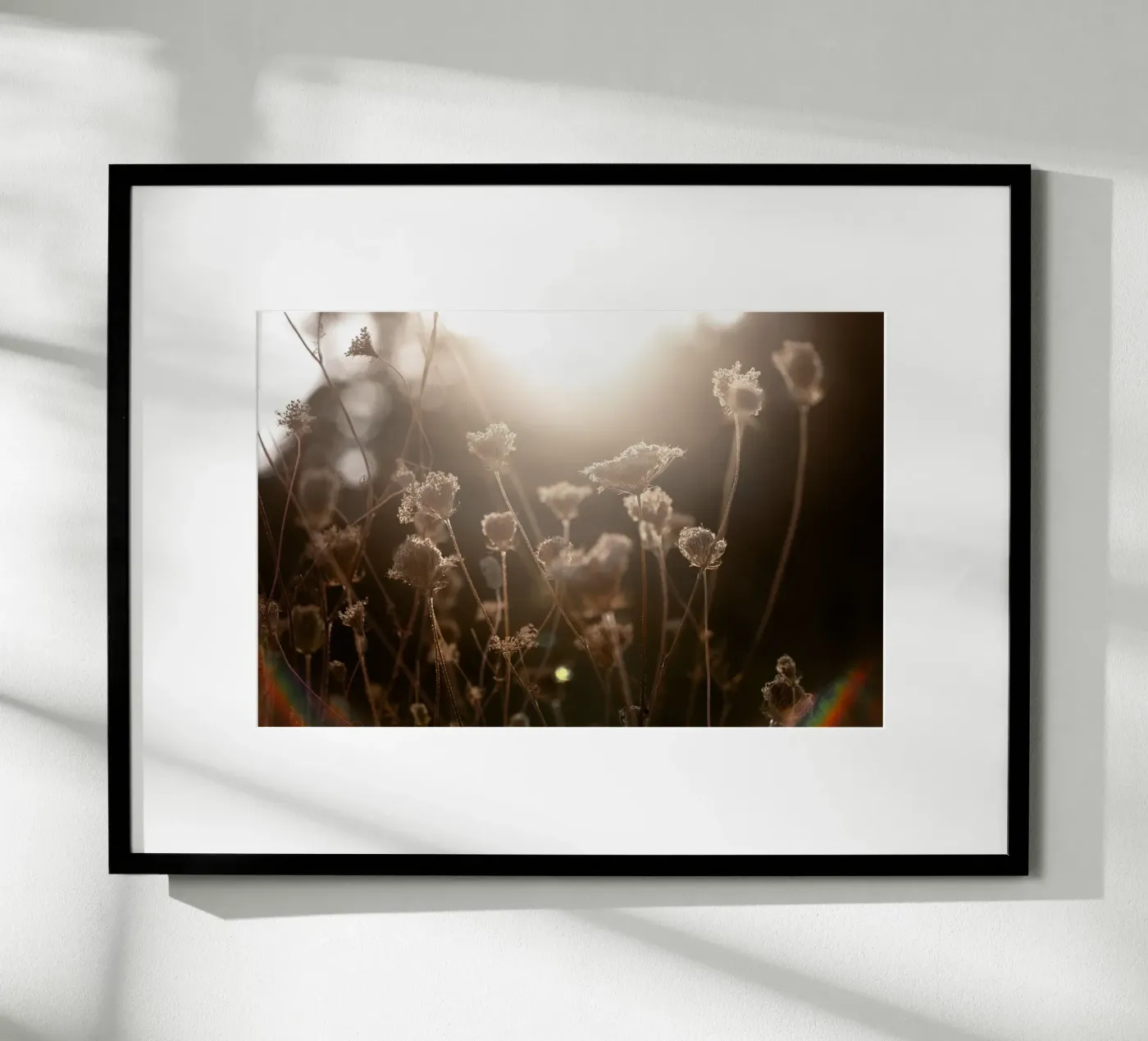 Warm Winter Light 3 poster by Mareike Böhmer Photography