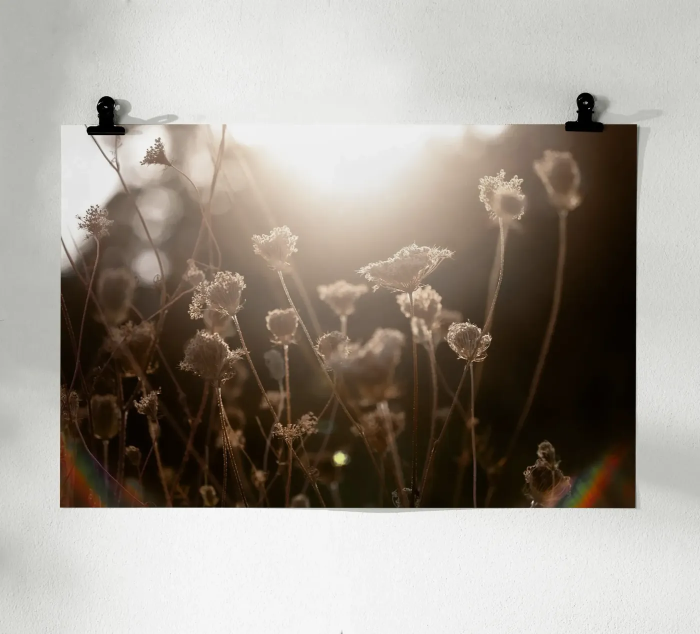 Warm Winter Light 3 poster by Mareike Böhmer Photography