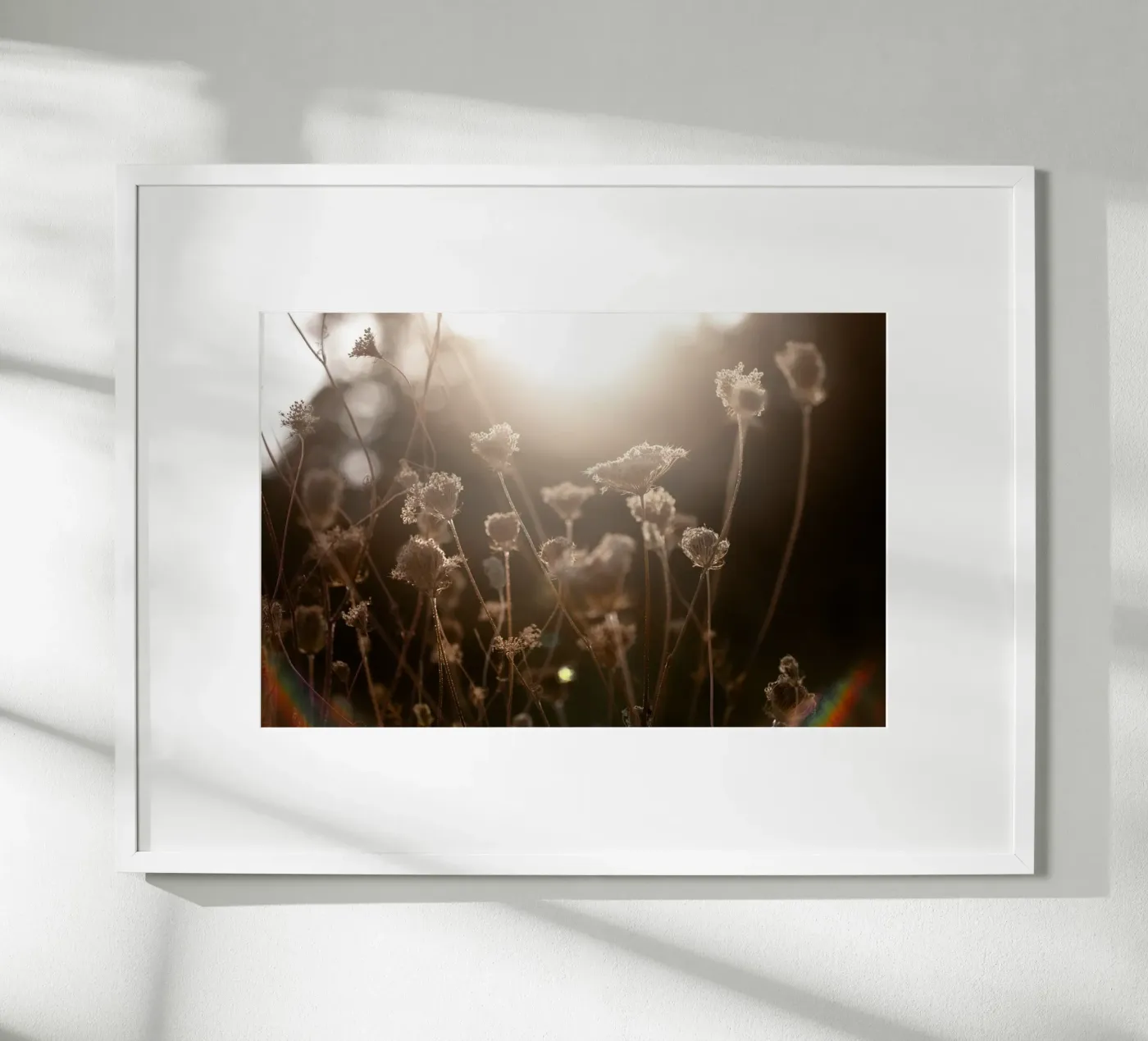 Warm Winter Light 3 poster by Mareike Böhmer Photography