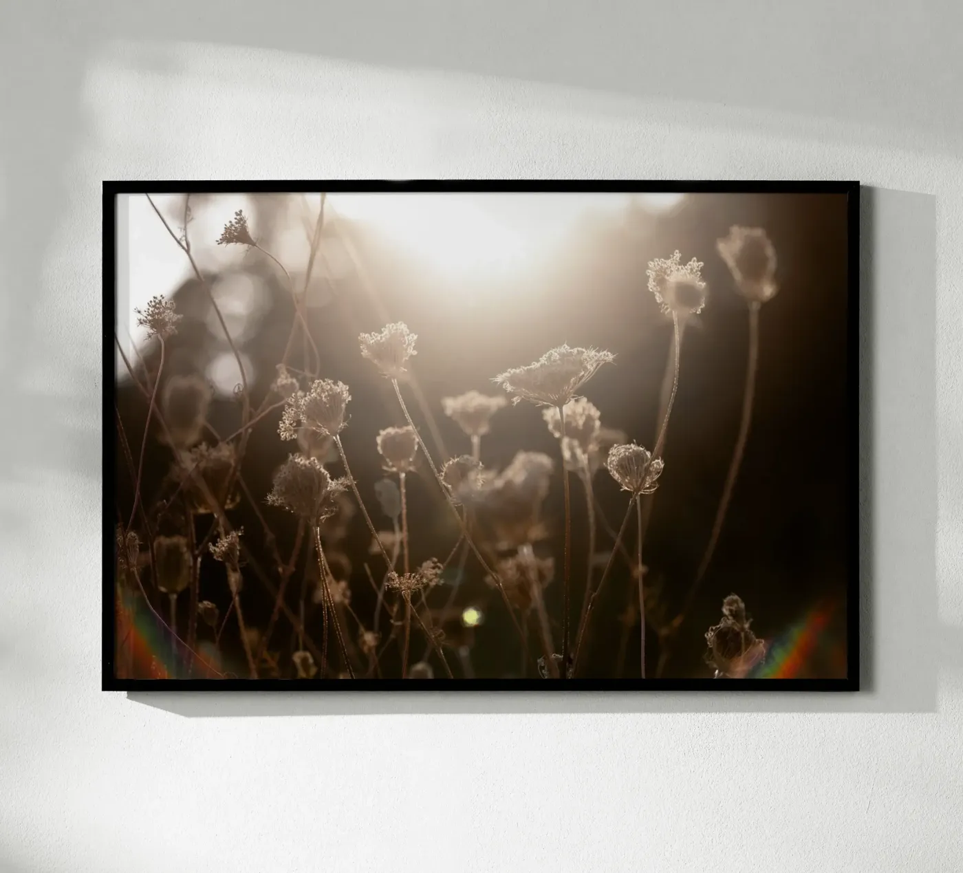 Warm Winter Light 3 poster by Mareike Böhmer Photography
