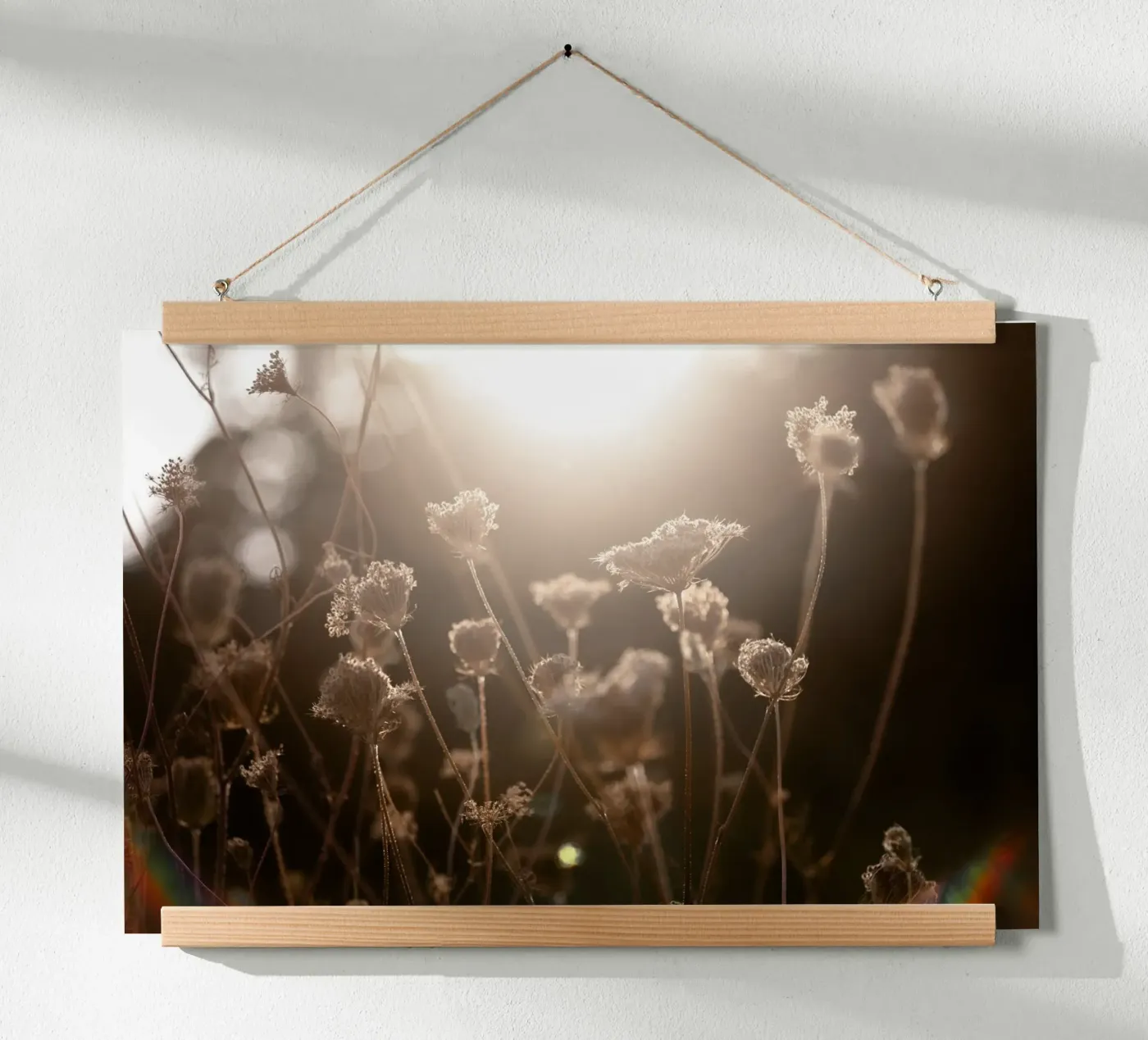 Warm Winter Light 3 poster by Mareike Böhmer Photography