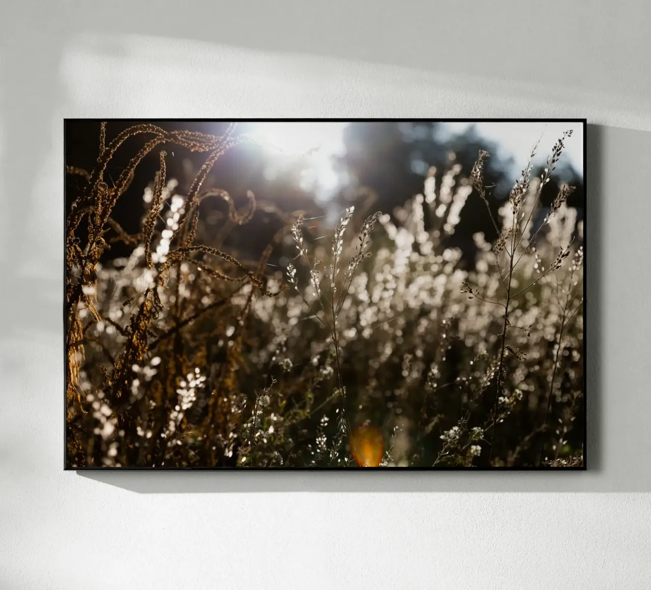 Warm Winter Light 7 plexiglass da Mareike Böhmer Photography