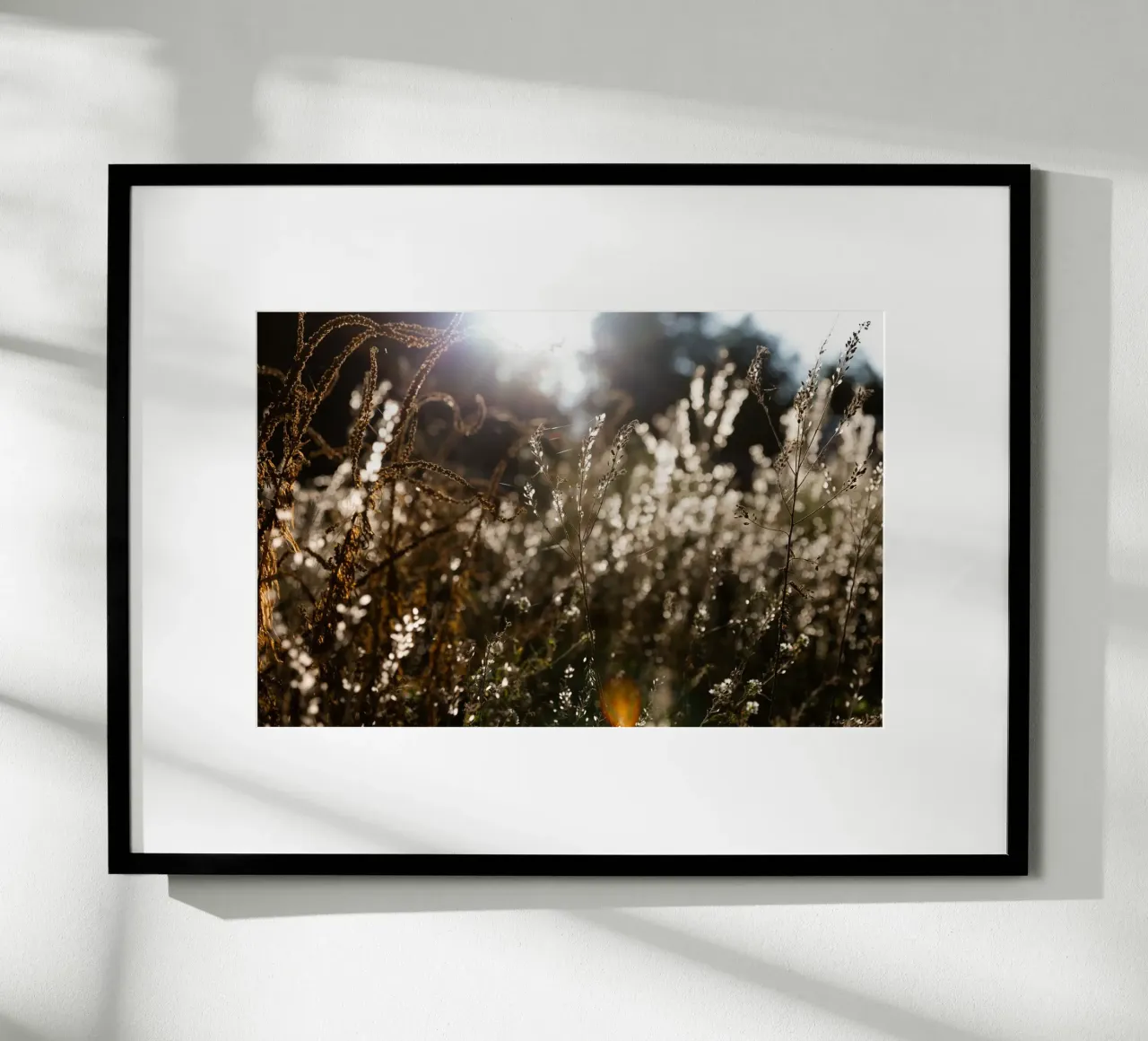 Warm Winter Light 7 poster by Mareike Böhmer Photography