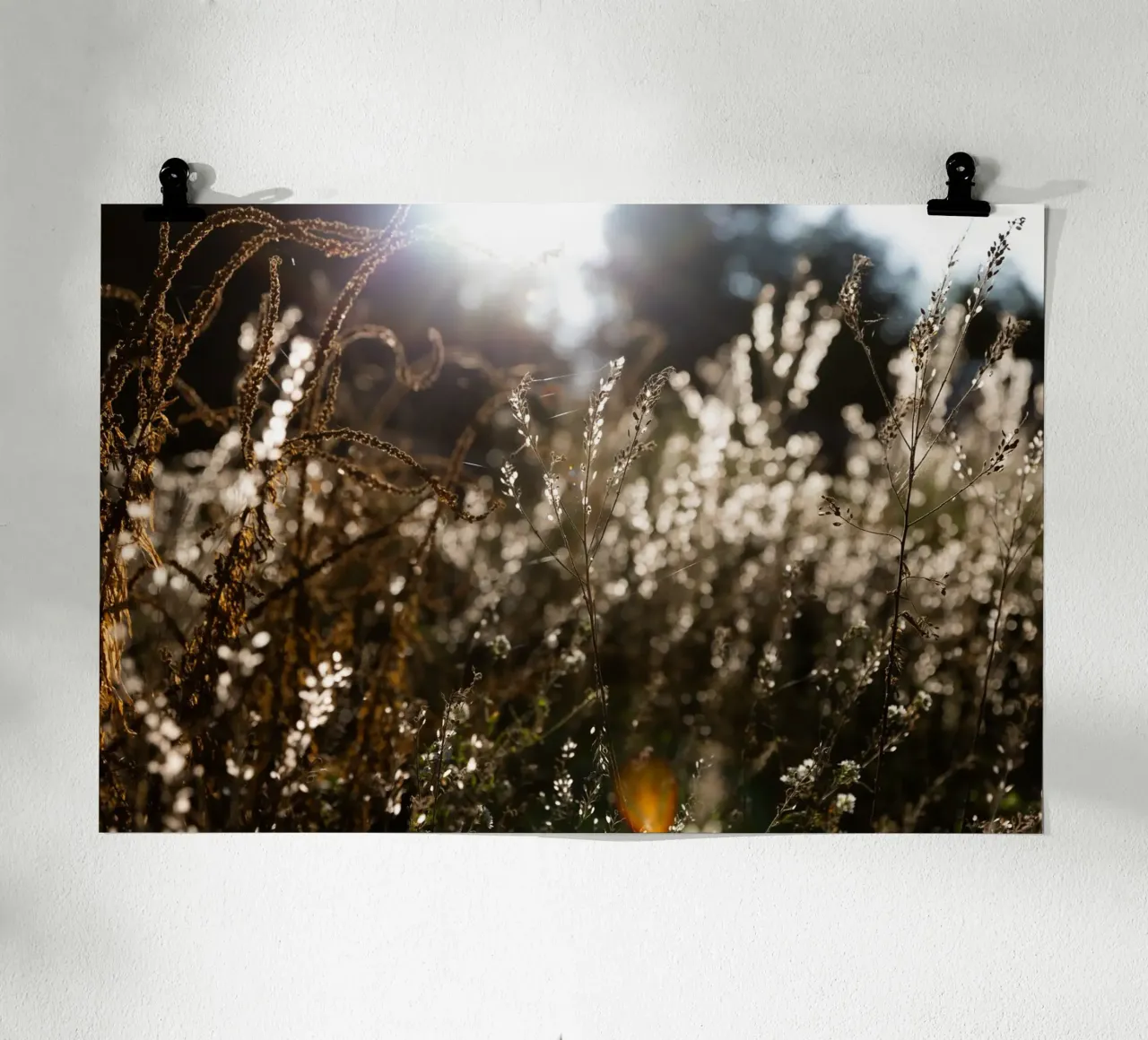 Warm Winter Light 7 poster by Mareike Böhmer Photography