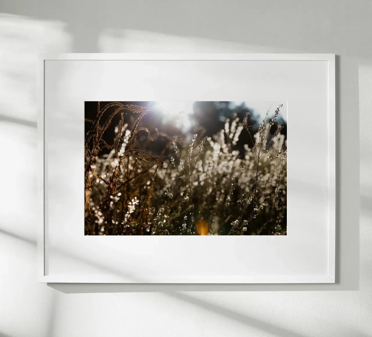 Warm Winter Light 7 poster by Mareike Böhmer Photography
