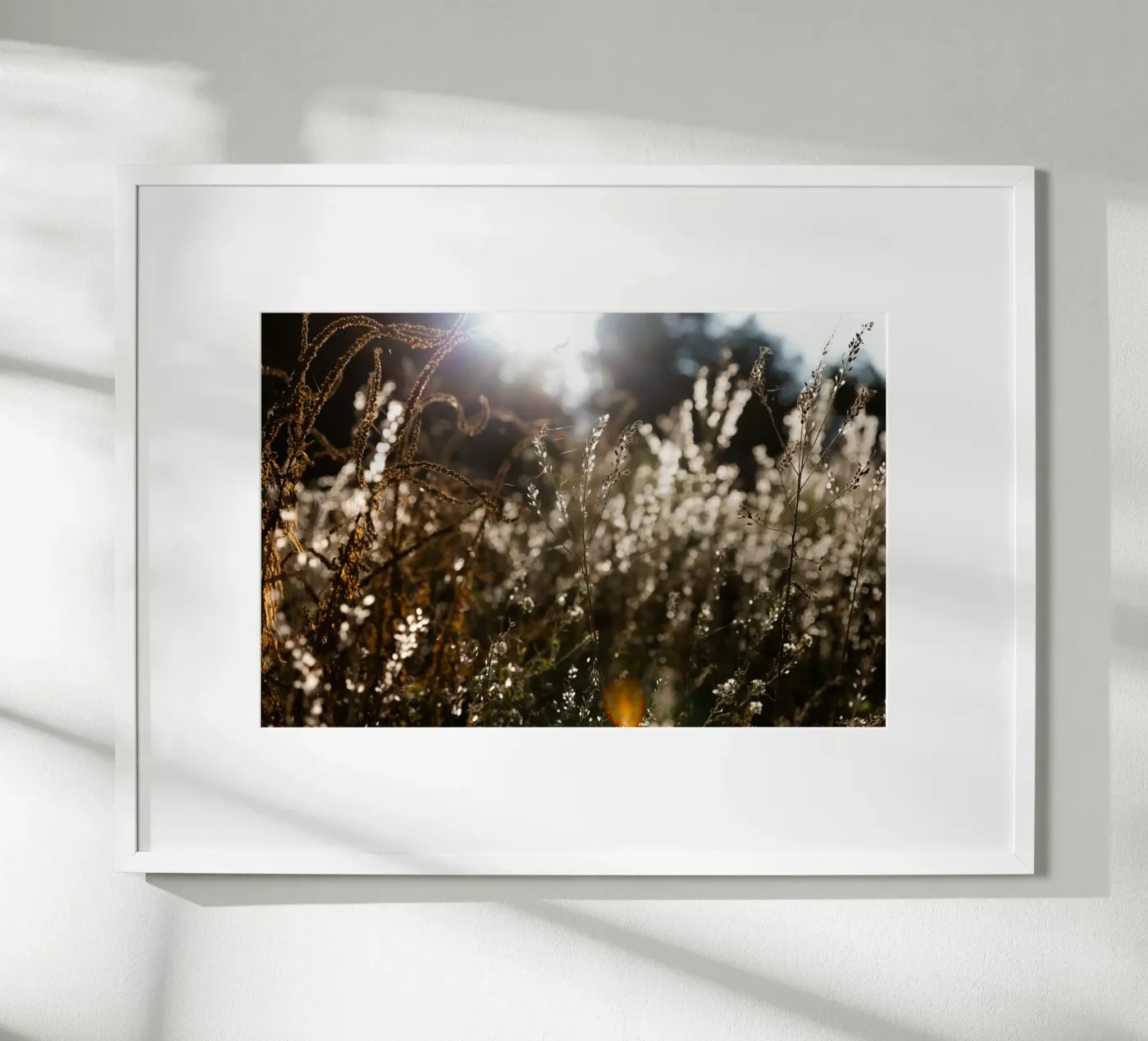 Warm Winter Light 7 poster by Mareike Böhmer Photography