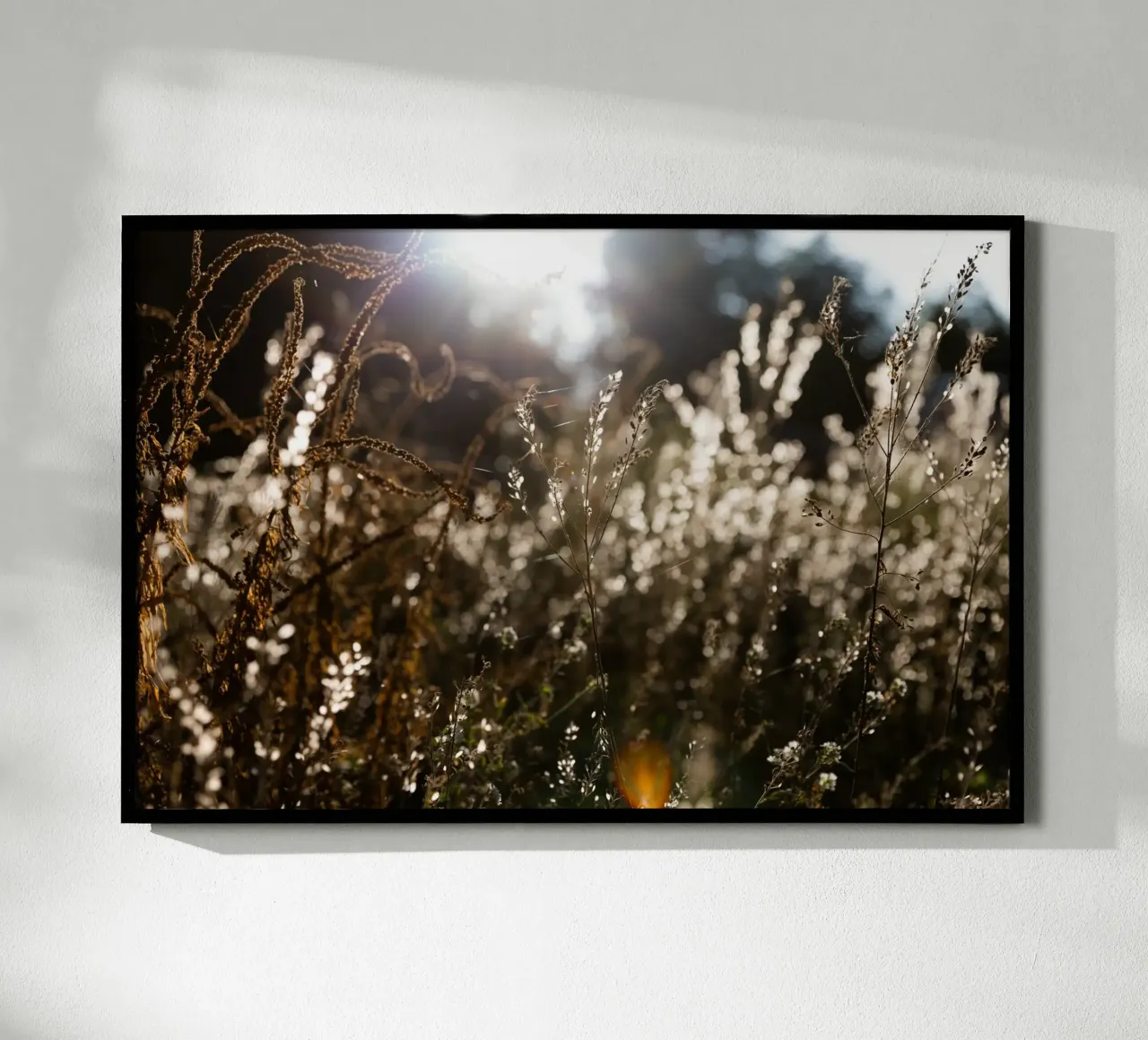 Warm Winter Light 7 poster by Mareike Böhmer Photography