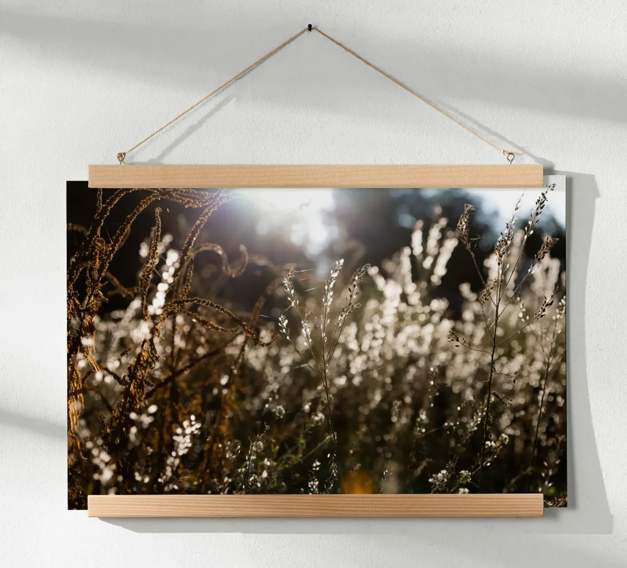 Warm Winter Light 7 poster by Mareike Böhmer Photography